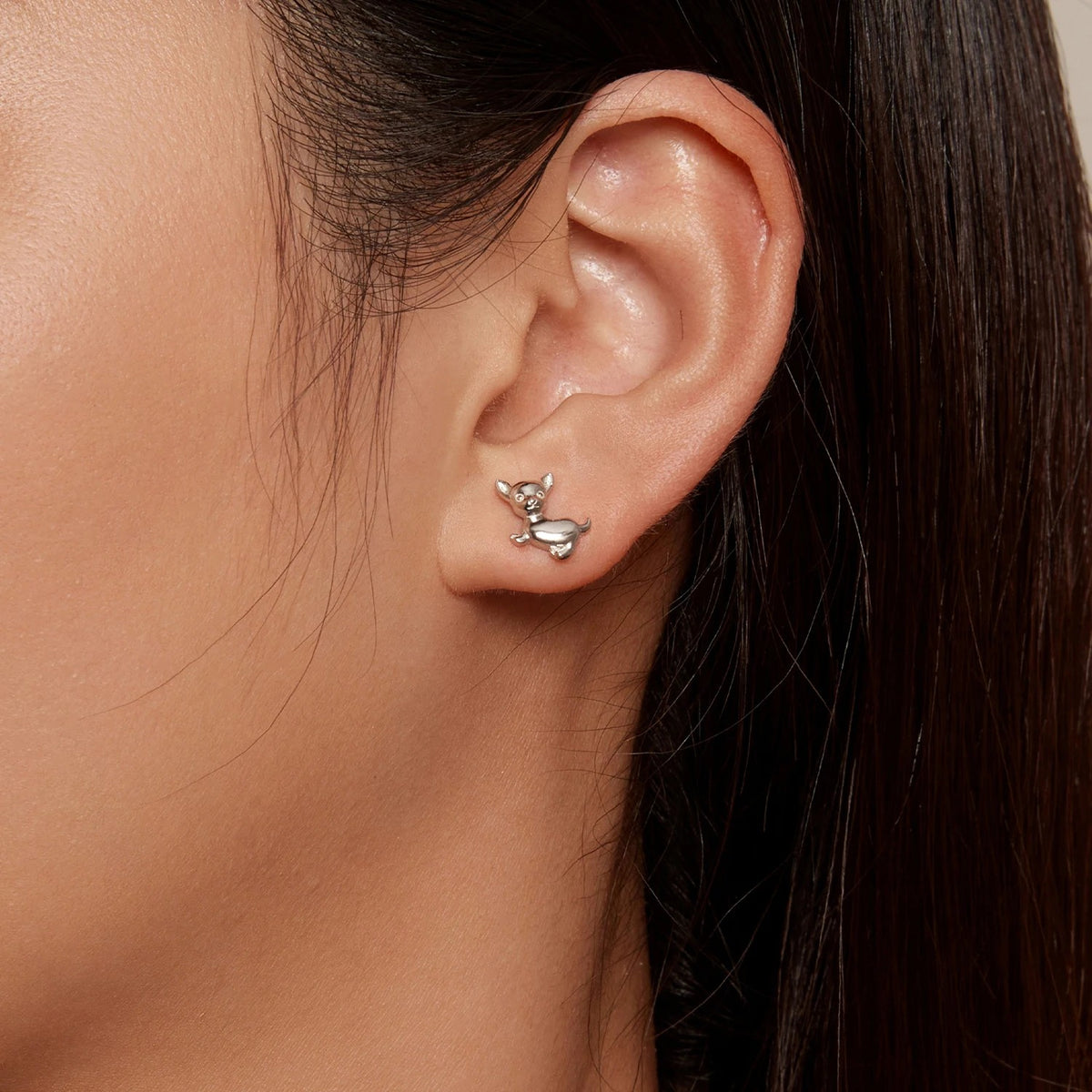 Polished Chihuahua Stud Earrings