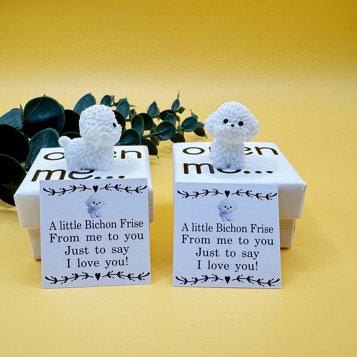 Bichon Frise Surprise Box