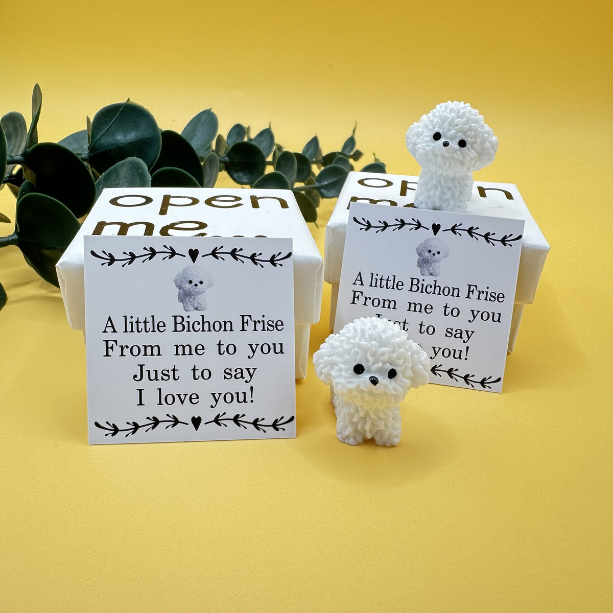 Bichon Frise Surprise Box