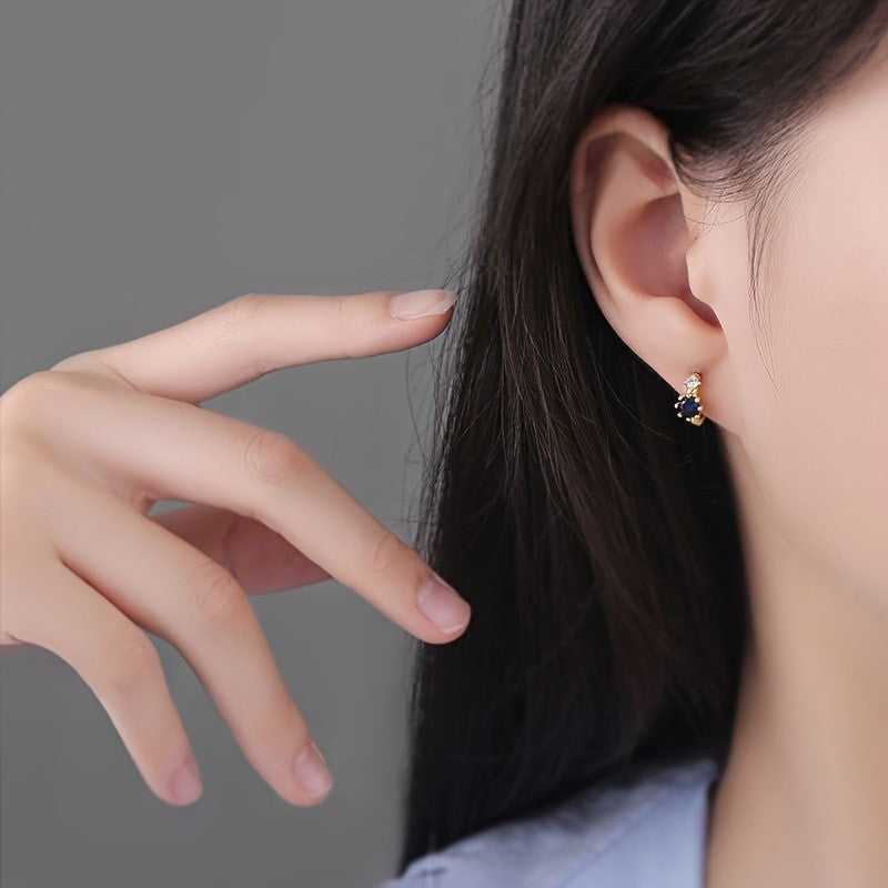 Blue Crystal Hoop Earrings