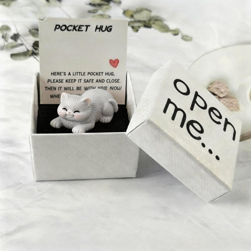 Sleeping Kitten Pocket Hug Box