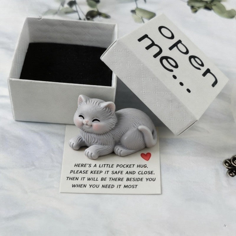 Sleeping Kitten Pocket Hug Box