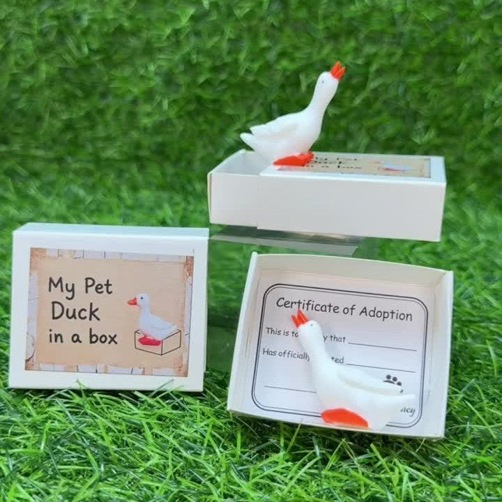 Pet Goose in a Box Figurine