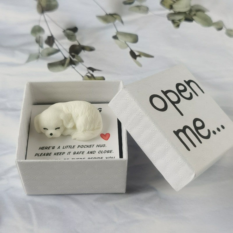 Sleeping Dog Pocket Hug Box