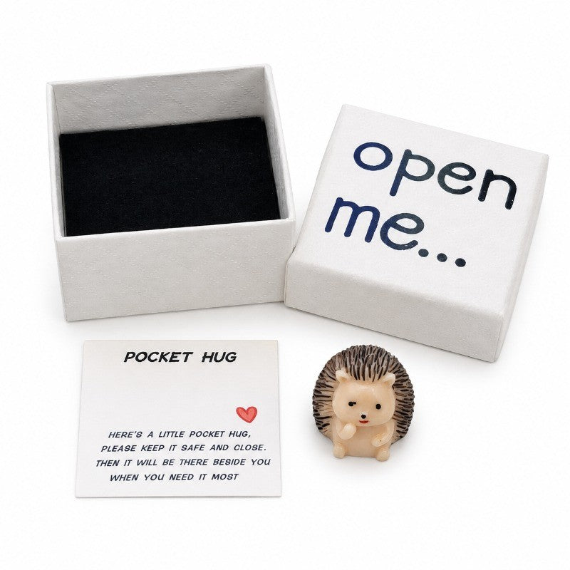 Hedgehog Pocket Hug Box