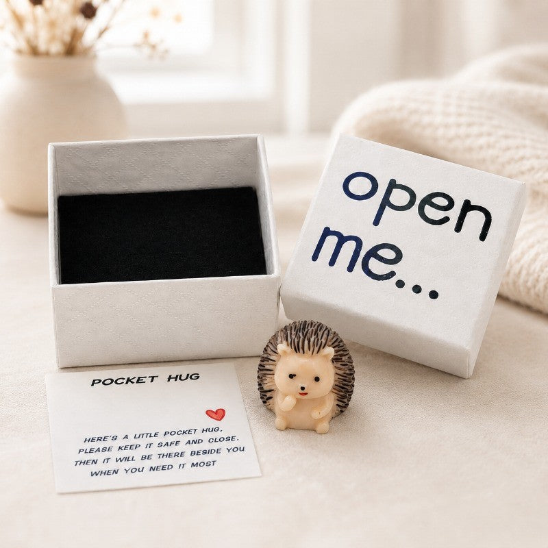 Hedgehog Pocket Hug Box