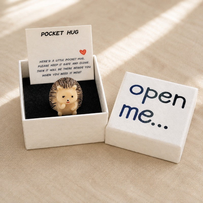 Hedgehog Pocket Hug Box