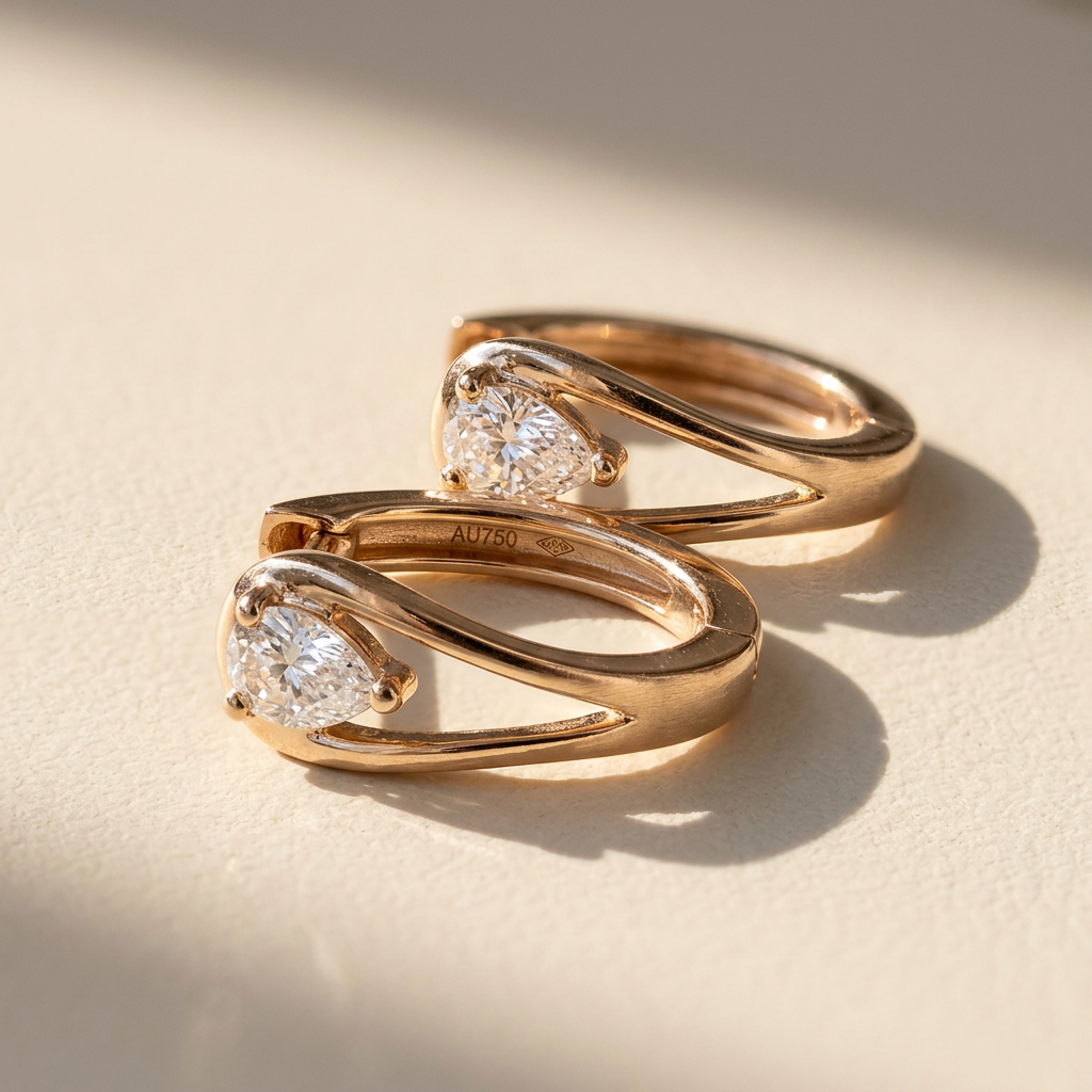 Exquisite Hoop Earrings