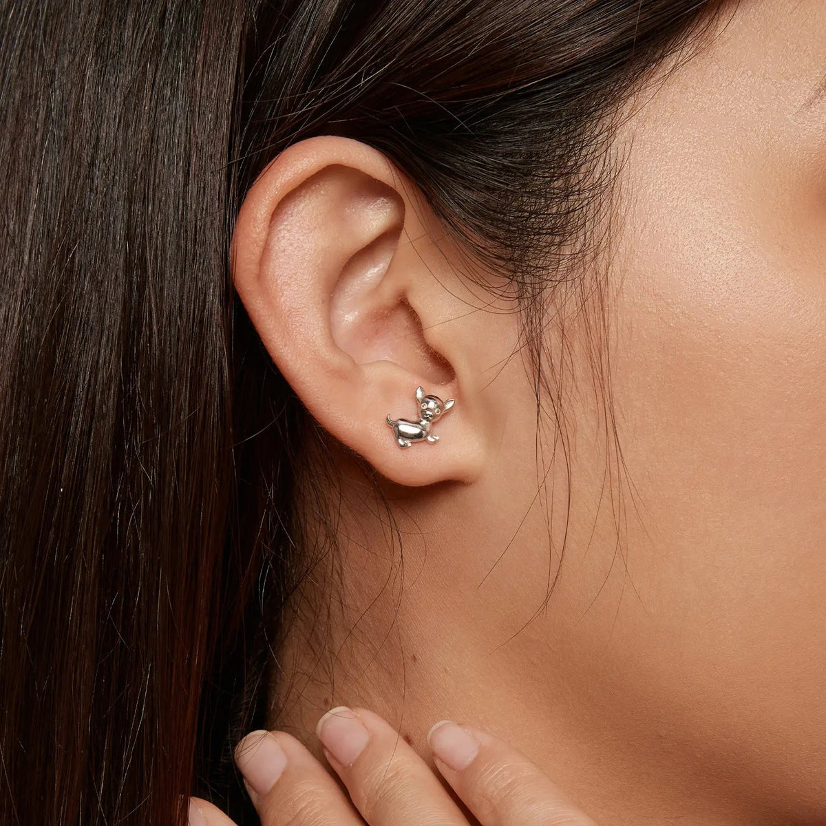 Polished Chihuahua Stud Earrings