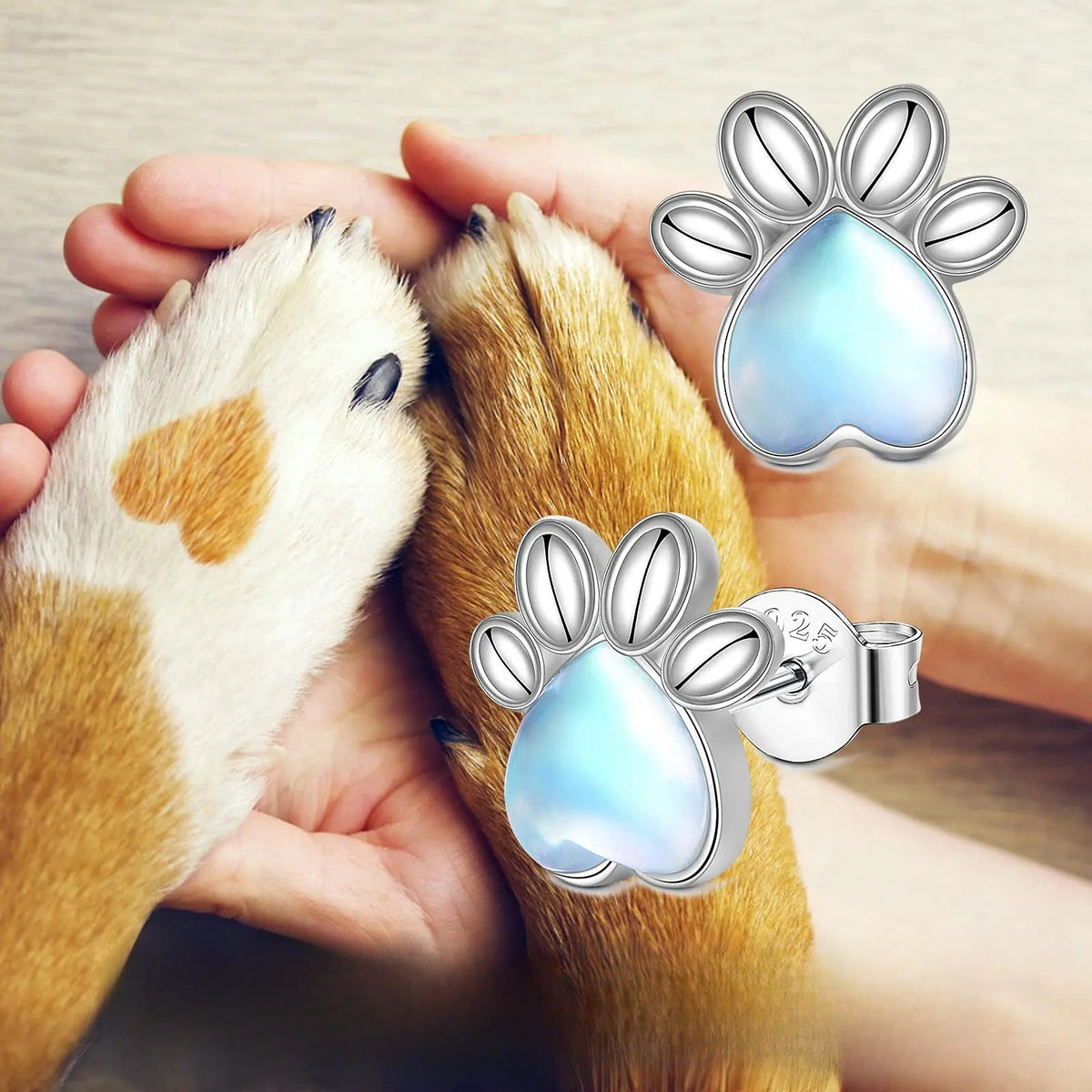 Moonstone Paw Stud Earrings