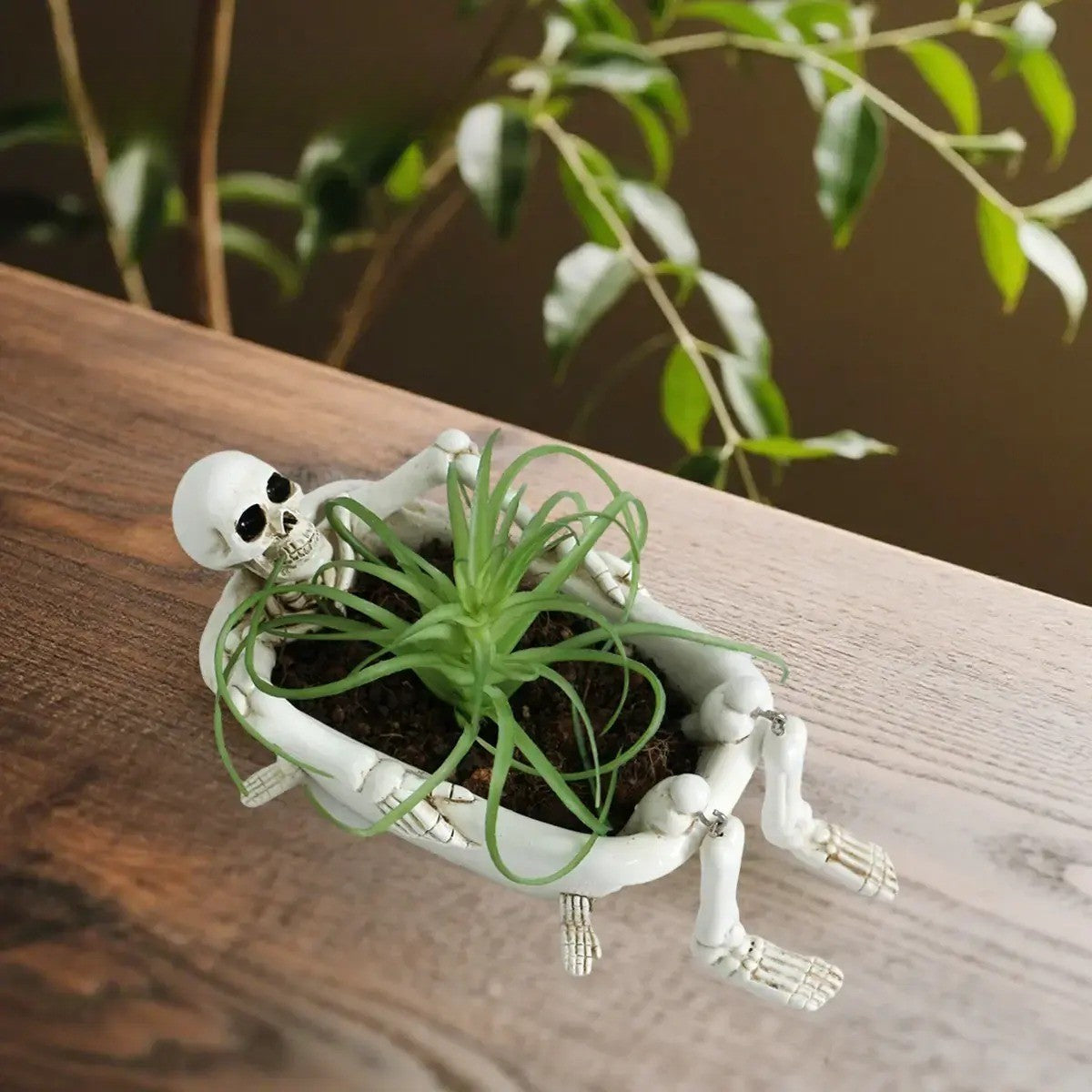 Skeleton Bathtub Planter