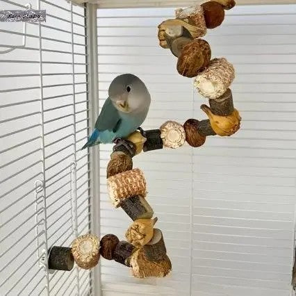 Wooden Parrot Climbing Toy