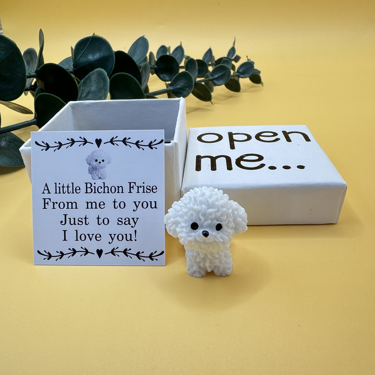 Bichon Frise Surprise Box