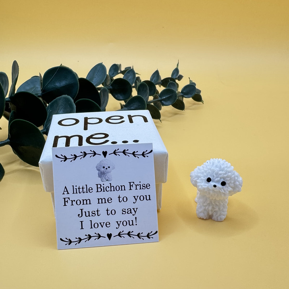 Bichon Frise Surprise Box