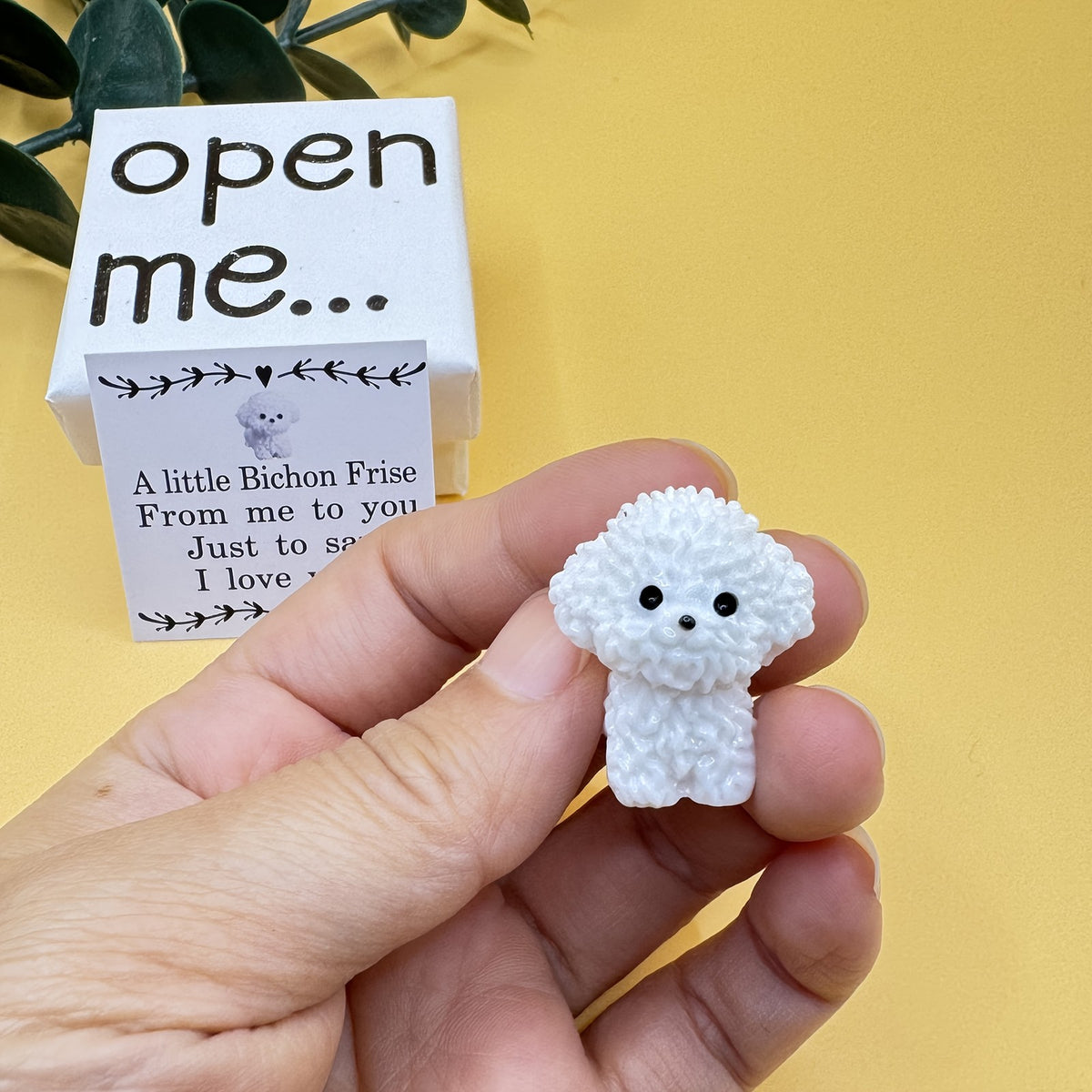 Bichon Frise Surprise Box