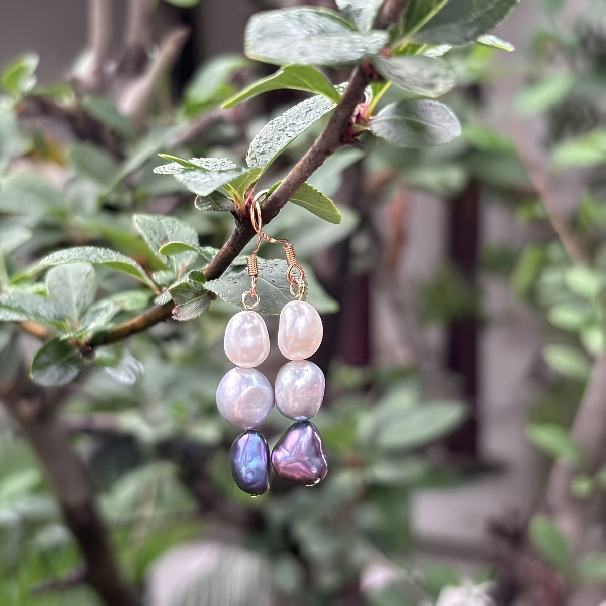 Three-Tone Freshwater Pearl Drop Earrings