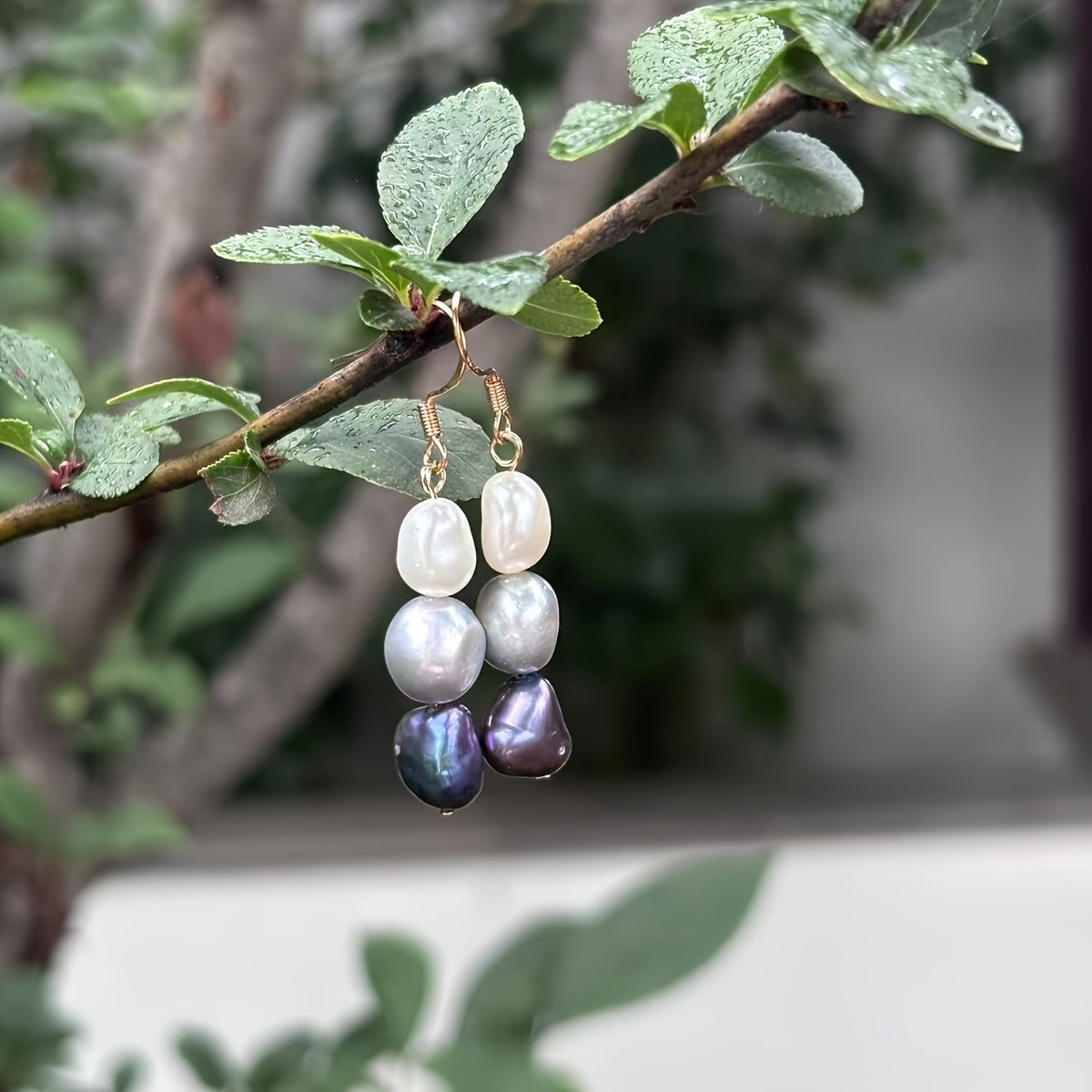 Three-Tone Freshwater Pearl Drop Earrings
