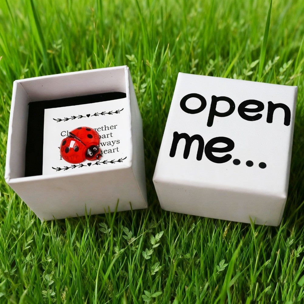 Ladybug Gift Box