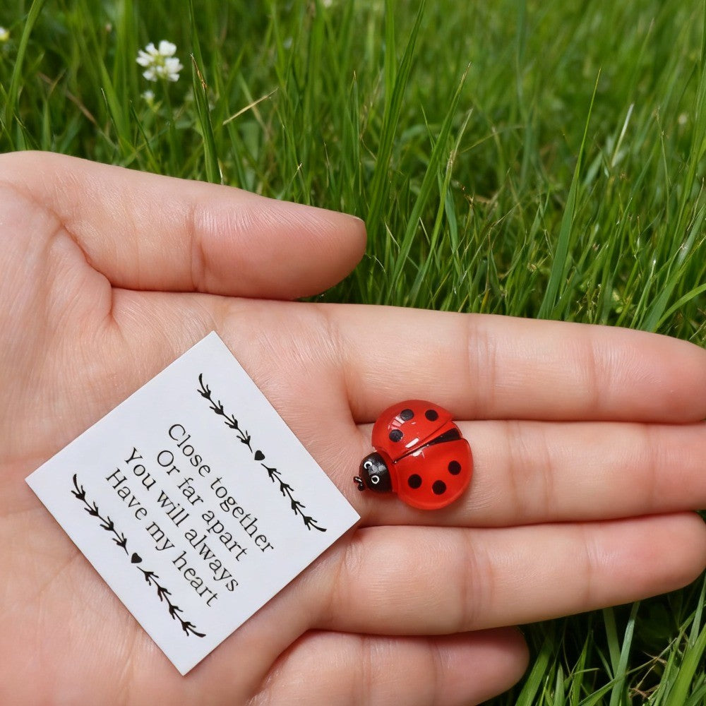 Ladybug Gift Box