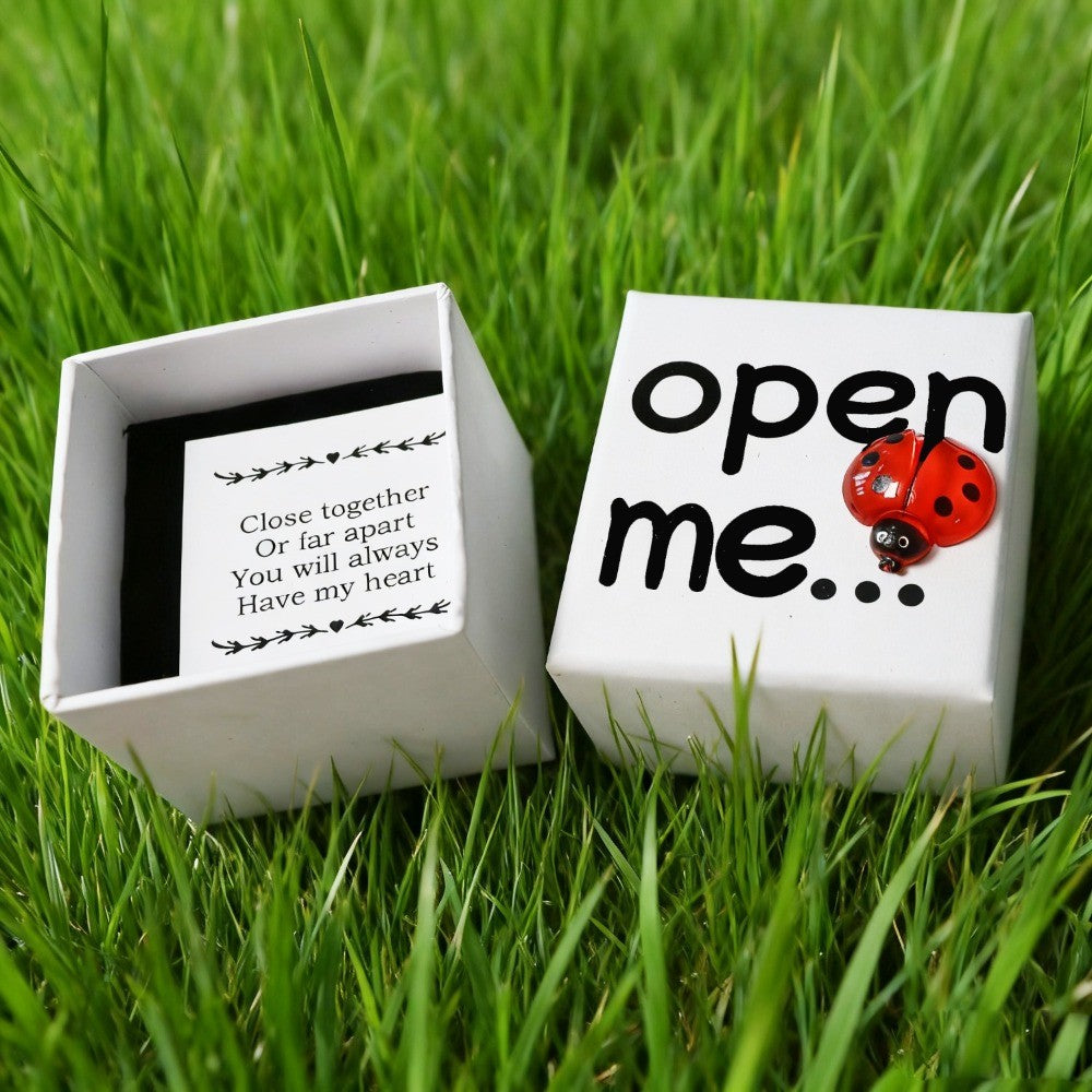 Ladybug Gift Box