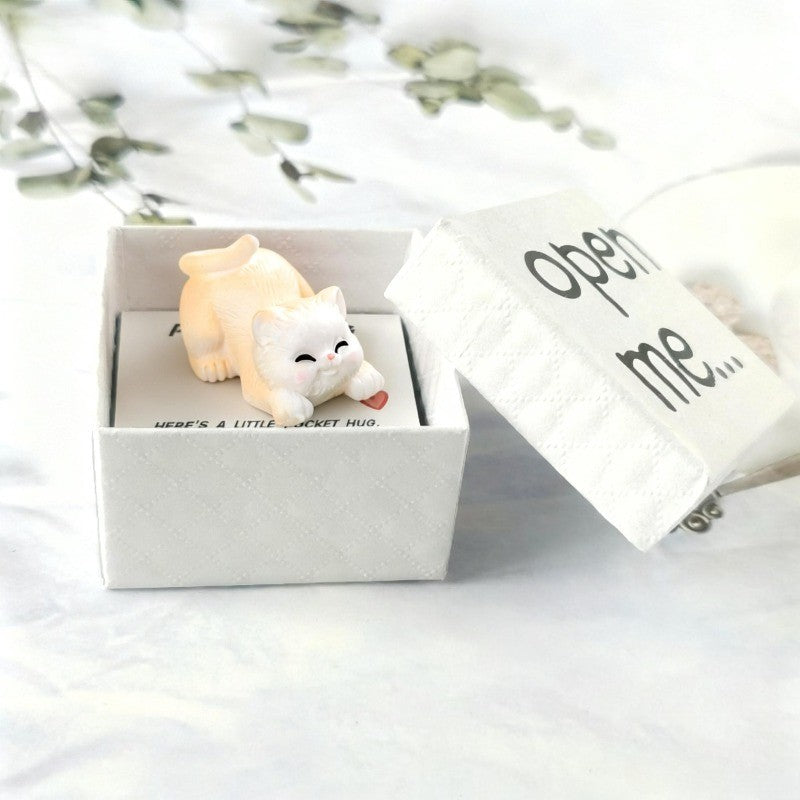 Sleeping Kitten Pocket Hug Box