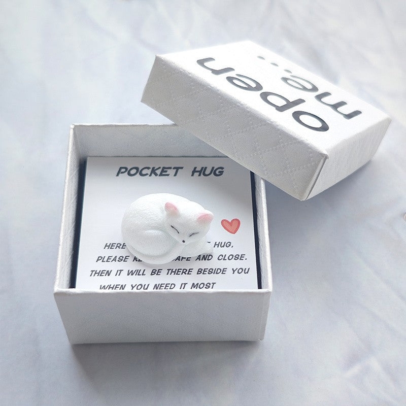 Sleeping Cat Pocket Hug Box