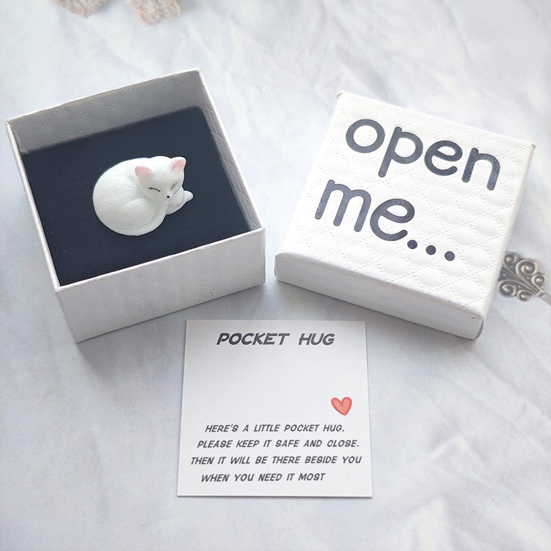 Sleeping Cat Pocket Hug Box