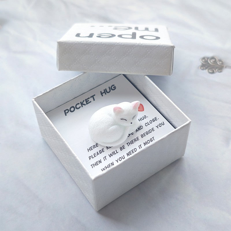 Sleeping Cat Pocket Hug Box