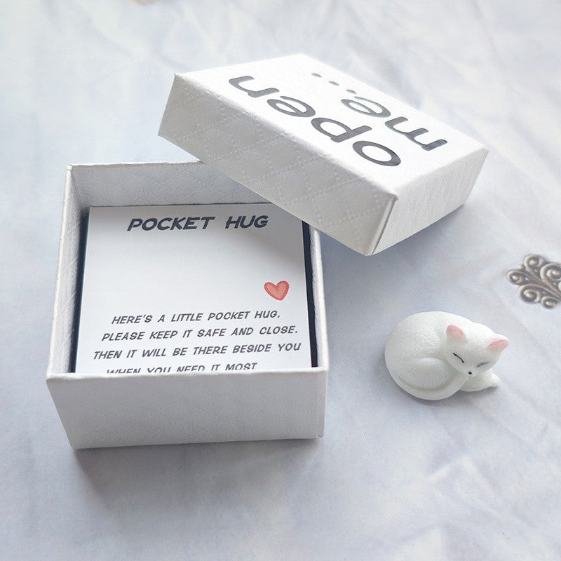 Sleeping Cat Pocket Hug Box
