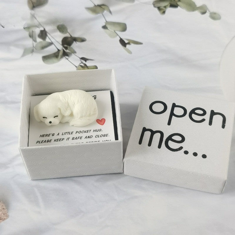 Sleeping Dog Pocket Hug Box
