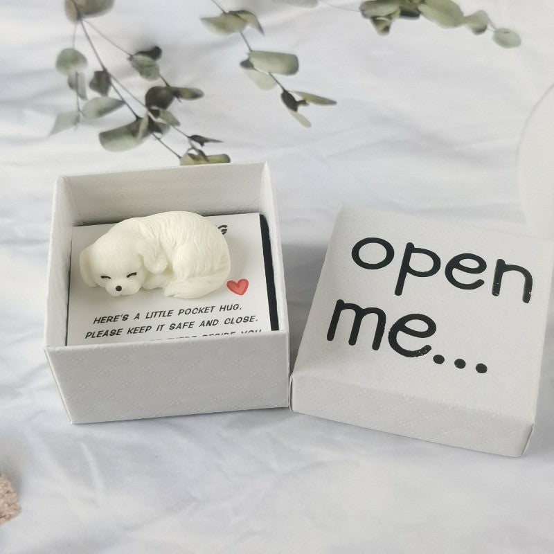 Sleeping Dog Pocket Hug Box