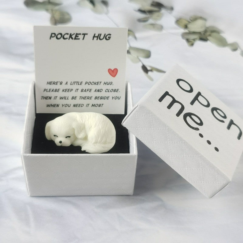 Sleeping Dog Pocket Hug Box