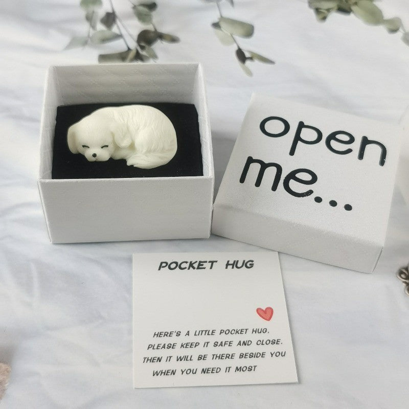 Sleeping Dog Pocket Hug Box