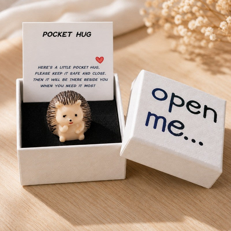 Hedgehog Pocket Hug Box