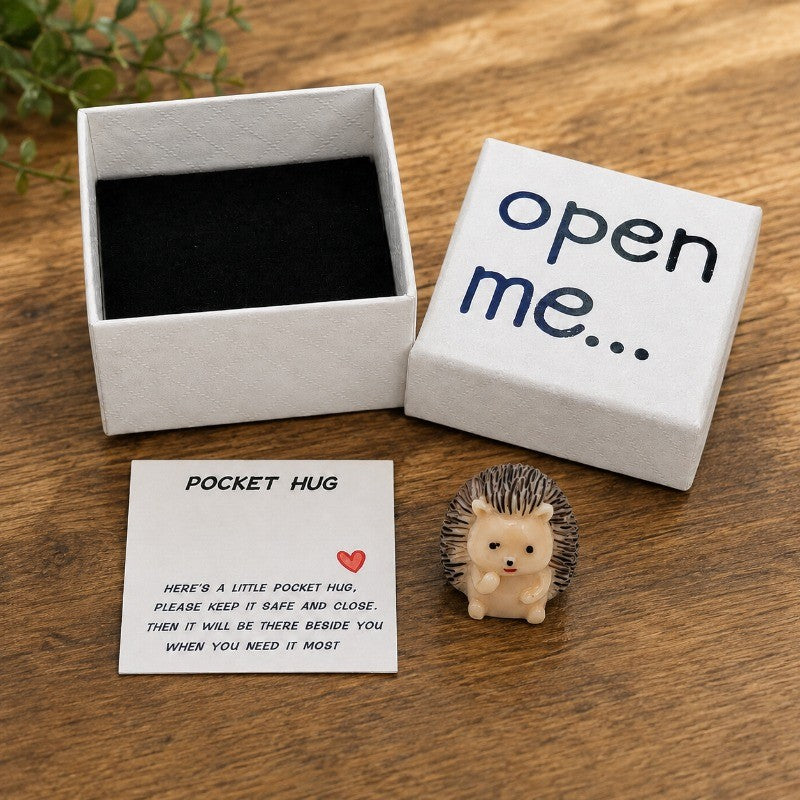 Hedgehog Pocket Hug Box